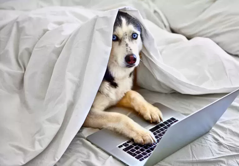 vocational education training courses