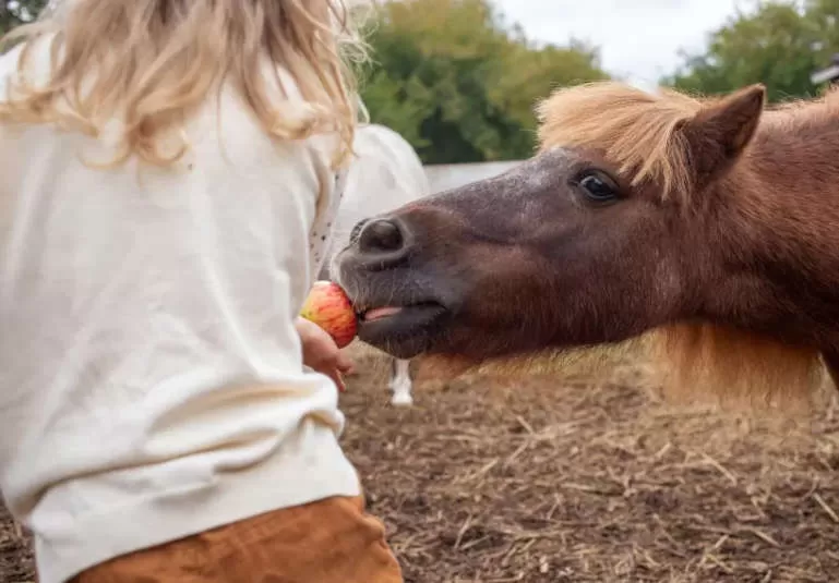 The Power of Patience, Kindness & Quiet Learning | Registered Training Organisation - Blueprint Career Development