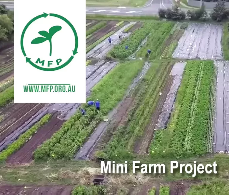 TAE40122 Mini Farm Project: Gift of Education and Nourishment